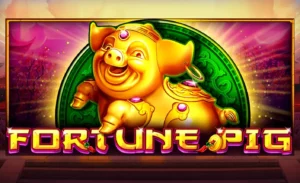 Fortune Pig