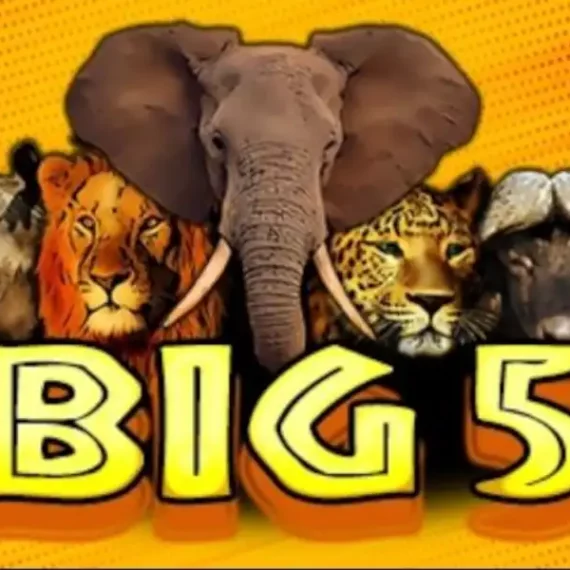 Big 5