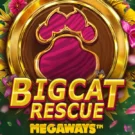 Big Cat Rescue Megaways