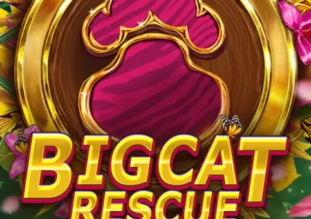 Big Cat Rescue Megaways